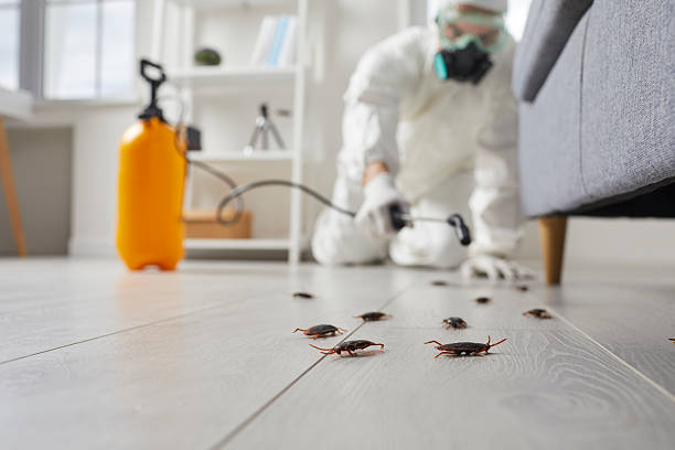 Commercial Kitchen Cockroach Control in Jones Valley